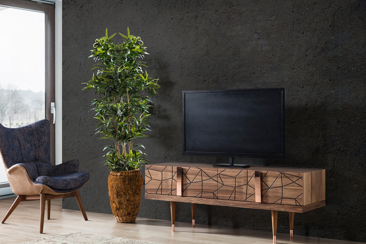 PETRA Tv Unit