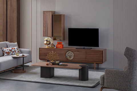 Dia Tv Unit